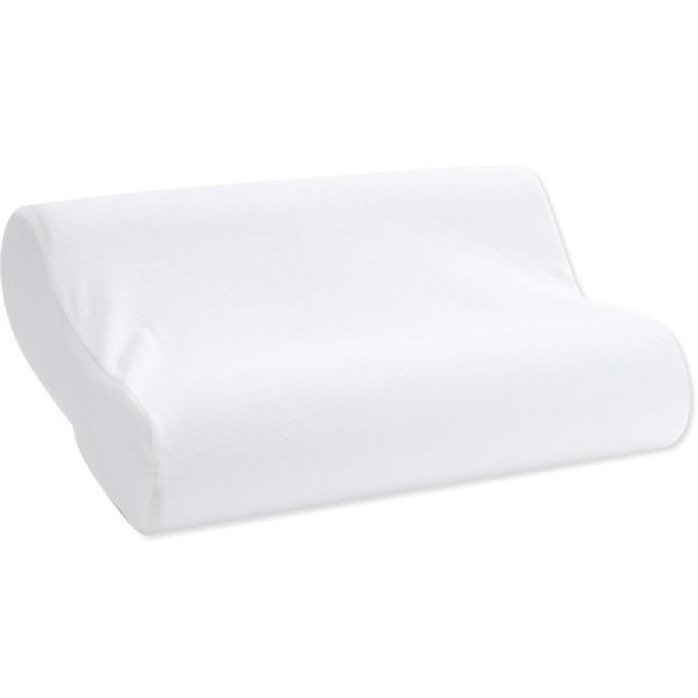 Master molty hotsell foam pillow prices